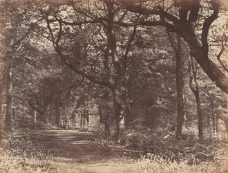 Scène boisée, Norton, Cheshire, 1856
