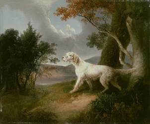 Paysage avec chien