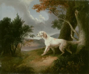 Paysage avec chien