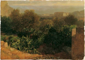 Paysage méridional avec cactus