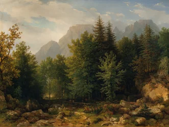 Paysage forestier en haute montagne