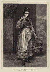 Violettes et primevères