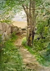 Sentier forestier