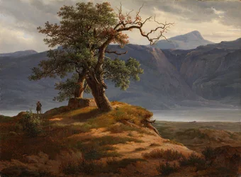 Paysage avec voyageur