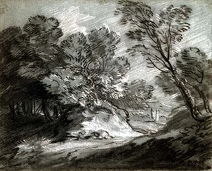 Paysage boisé avec une montagne lointaine