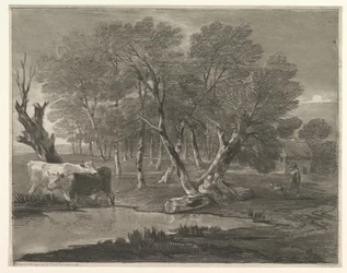 Paysage boisé avec vaches près d