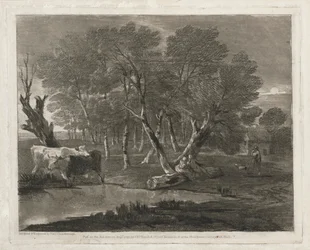 Paysage boisé avec vaches près d