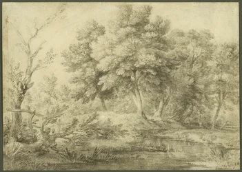Paysage boisé avec ruisseau