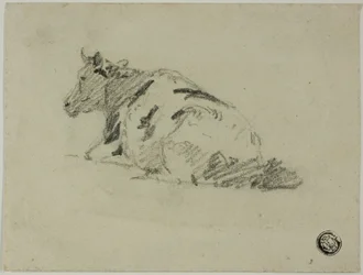 Vache