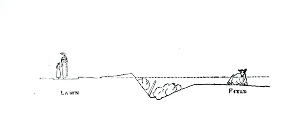 Coupe transversale d