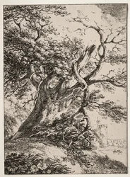 Spécimens de polyautographie: Paysage avec un chêne