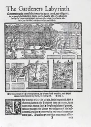 Tonnelle construite comme ombrage contre le soleil et plantation en plates-bandes surélevées, du livre The Gardeners Labyrinth, 1577