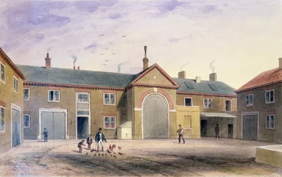 La cour verte de la ville, 1855