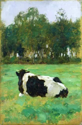 Une vache dans le pré