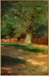 Ferme derrière un grand arbre