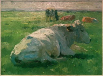 Vache couchée