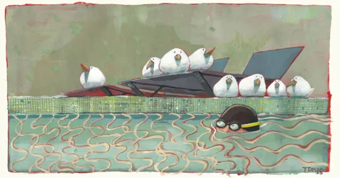 Oiseaux de la Piscine
