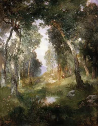 Clairière forestière, Santa Barbara, 1918
