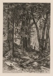 Intérieur d