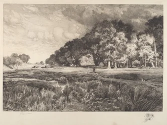 Paysage de Long Island