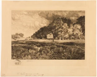 Paysage de Long Island