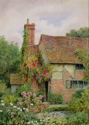 Un jardin de cottage d