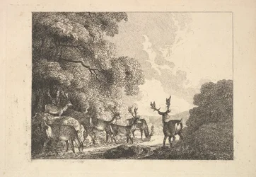 Un groupe de cerfs buvant, 1784-88
