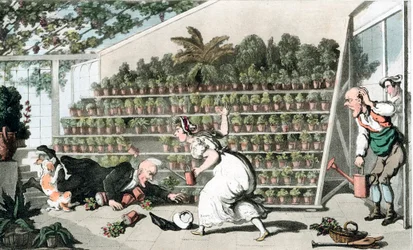 Malheur dans la salle des tulipes, vers 1816