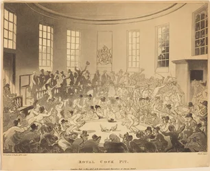 Arène royale de combats de coqs