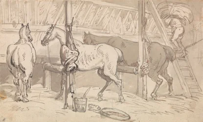 Trois chevaux dans leurs boxes