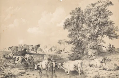 Un troupeau de bovins sur la rive d