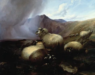 Moutons des Highlands dans un Paysage Montagneux, 1854