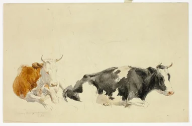 Deux vaches couchées (recto) ; Esquisse d