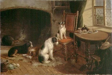 Intérieur avec des chiens