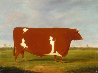 Un taureau primé debout dans un paysage