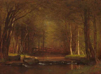 Trout Brook dans les Catskills