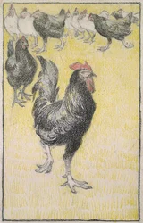 Coq, suivi de poules noires et blanches