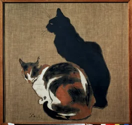 Deux chats