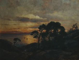 Pin au coucher du soleil