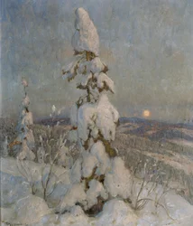 Épicéa couvert de neige au clair de lune