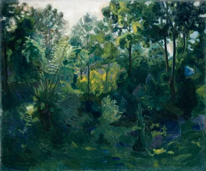 Intérieur de la forêt