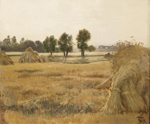 Champ avec des gerbes de blé
