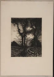Chemin boueux entre les arbres