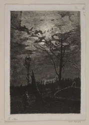 Défrichement. Soir