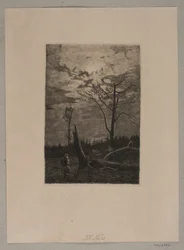 Défrichement. Soir