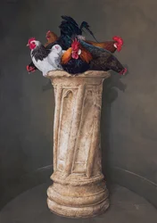 Poules, yeux baissés
