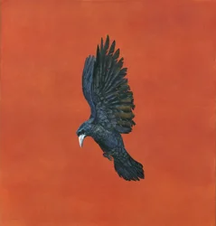 Briller-Rouge