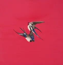 Tourbillon-Rouge