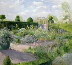 Iris dans le jardin des herbes, 1995