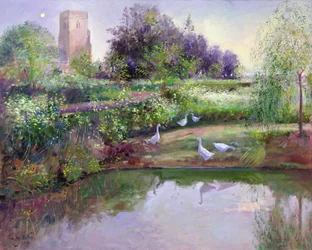 Reflets au crépuscule